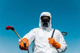 Best Termite Inspection and Treatment  in Melbourne, AR